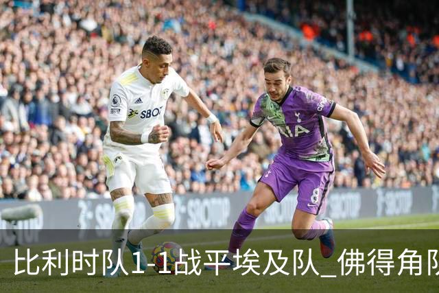 比利时队1-1战平埃及队 佛得角队爆冷逼平西班牙队